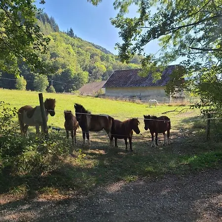 Villa Calme Et Plein Air